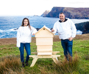 Donegal Bees - Tour