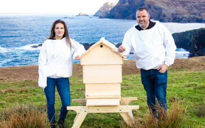 Donegal Bees - Tour