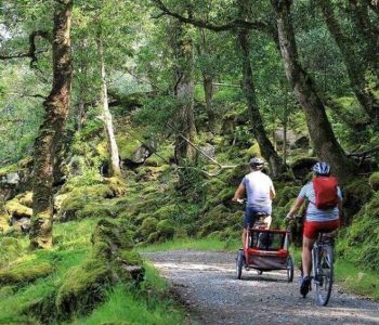Family Cycle - Grass Routes Glenveagh