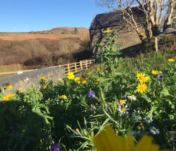 Leitir Corn Mill Spring