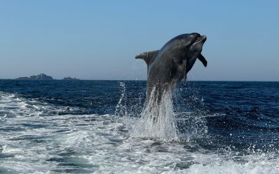 TNB Discover Donegal
